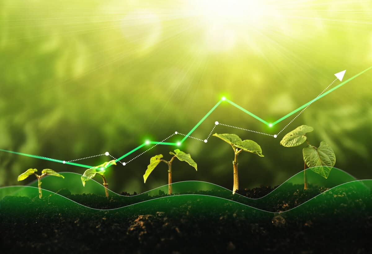 2 High-Yield Dividend Stocks to Own for the Next 10 Years