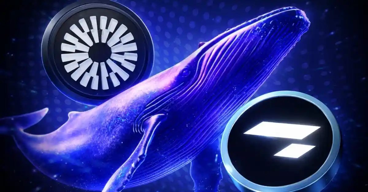 Crypto Whales Are Accumulating These Altcoins—Could Their Prices Be Ready to Surge?