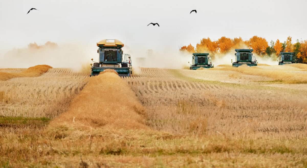 1 Strong Quarter Could End the Bargain in This Beaten-Down TSX Stock